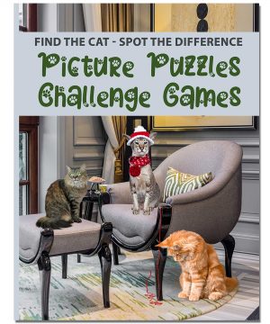 Picture Puzzles Challenge Games
