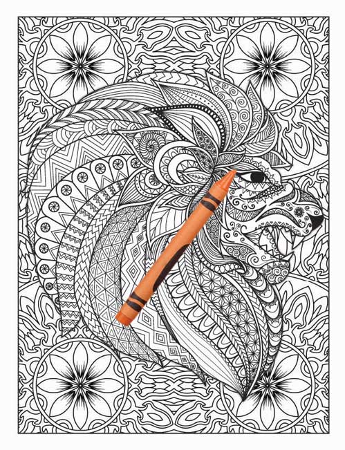 Amazing Animals Colouring Book for Adults 12 Books Sun