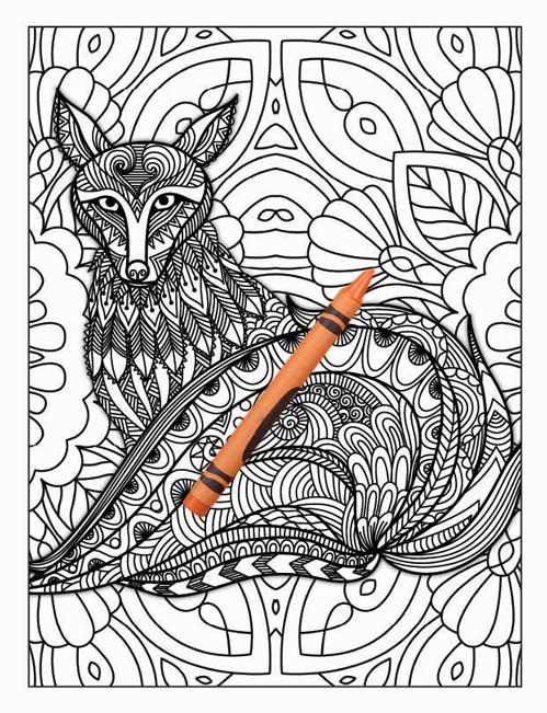 Amazing Animals Colouring Book for Adults 15 Books Sun