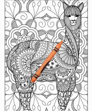 Amazing Animals Colouring Book for Adults 16 Books Sun