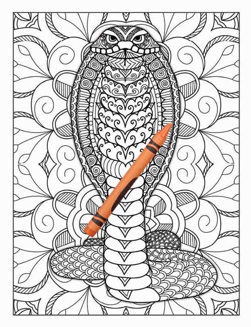 Amazing Animals Colouring Book for Adults 17 Books Sun