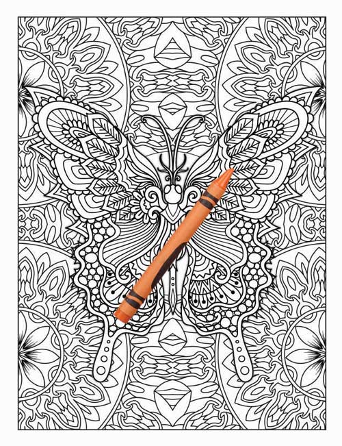 Amazing Animals Colouring Book for Adults 21 Books Sun