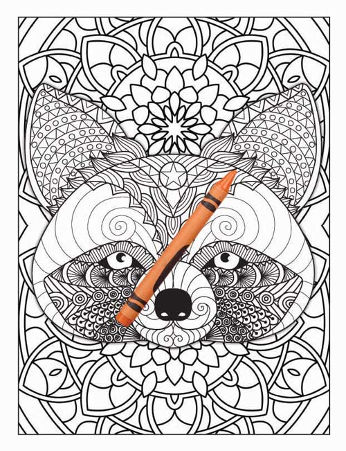 Amazing Animals Colouring Book for Adults 24 Books Sun
