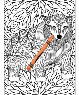Amazing Animals Colouring Book for Adults 26 Books Sun