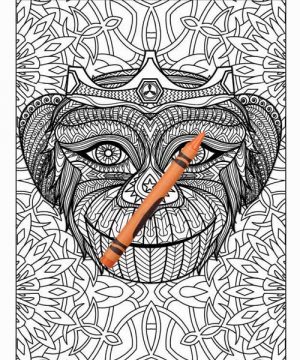 Amazing Animals Colouring Book for Adults 28 Books Sun