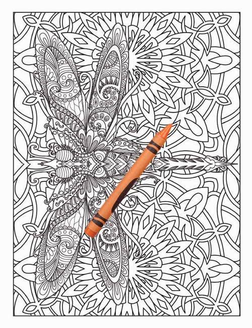Amazing Animals Colouring Book for Adults 29 Books Sun