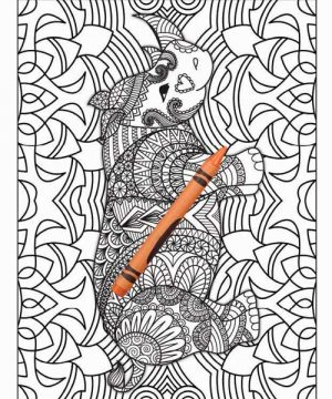 Amazing Animals Colouring Book for Adults 31 Books Sun
