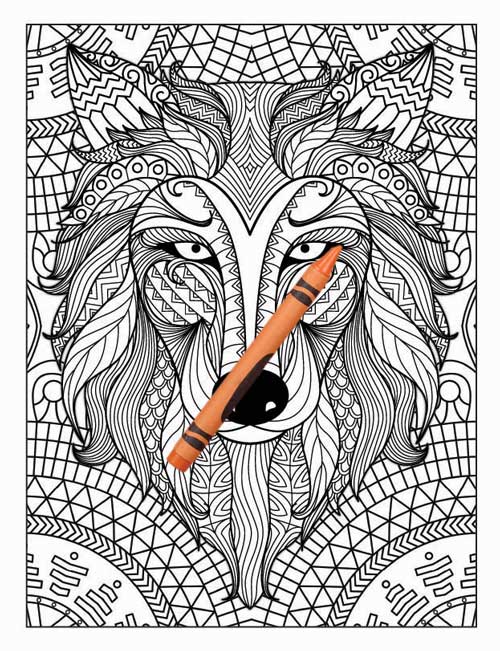 Amazing Animals Colouring Book for Adults - Books Sun