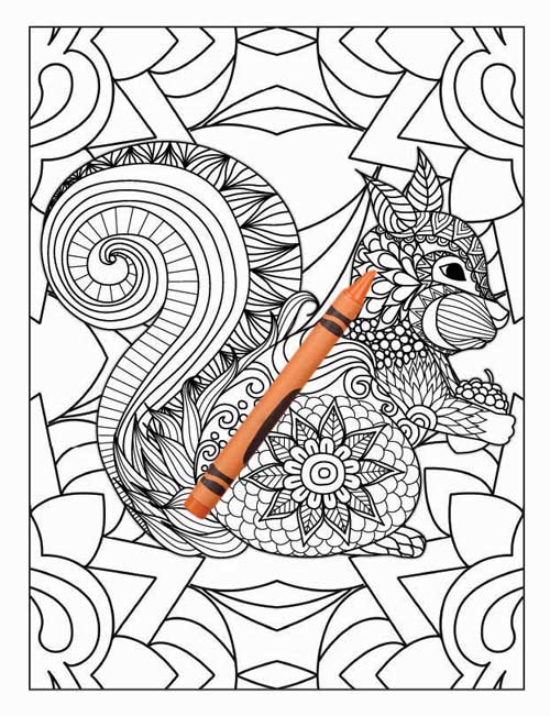 Amazing Animals Colouring Book for Adults 38 Books Sun