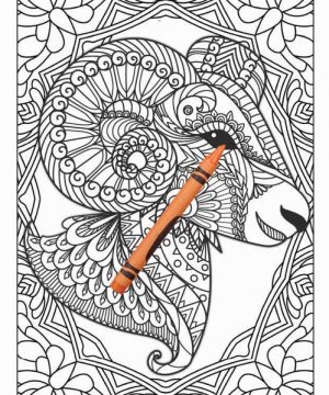 Amazing Animals Colouring Book for Adults 40 Books Sun