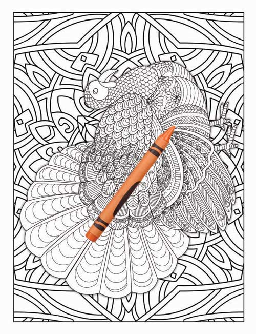 Amazing Animals Colouring Book for Adults 6 Books Sun