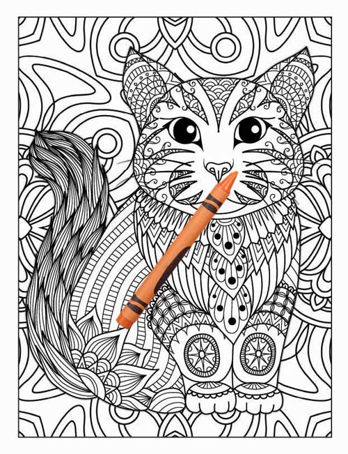Amazing Animals Colouring Book for Adults 9 Books Sun