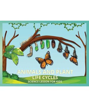 Animals and Plant Life Cycles