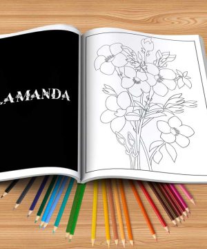 Calming Realistic Flower Adult Coloring Book 2 Books Sun